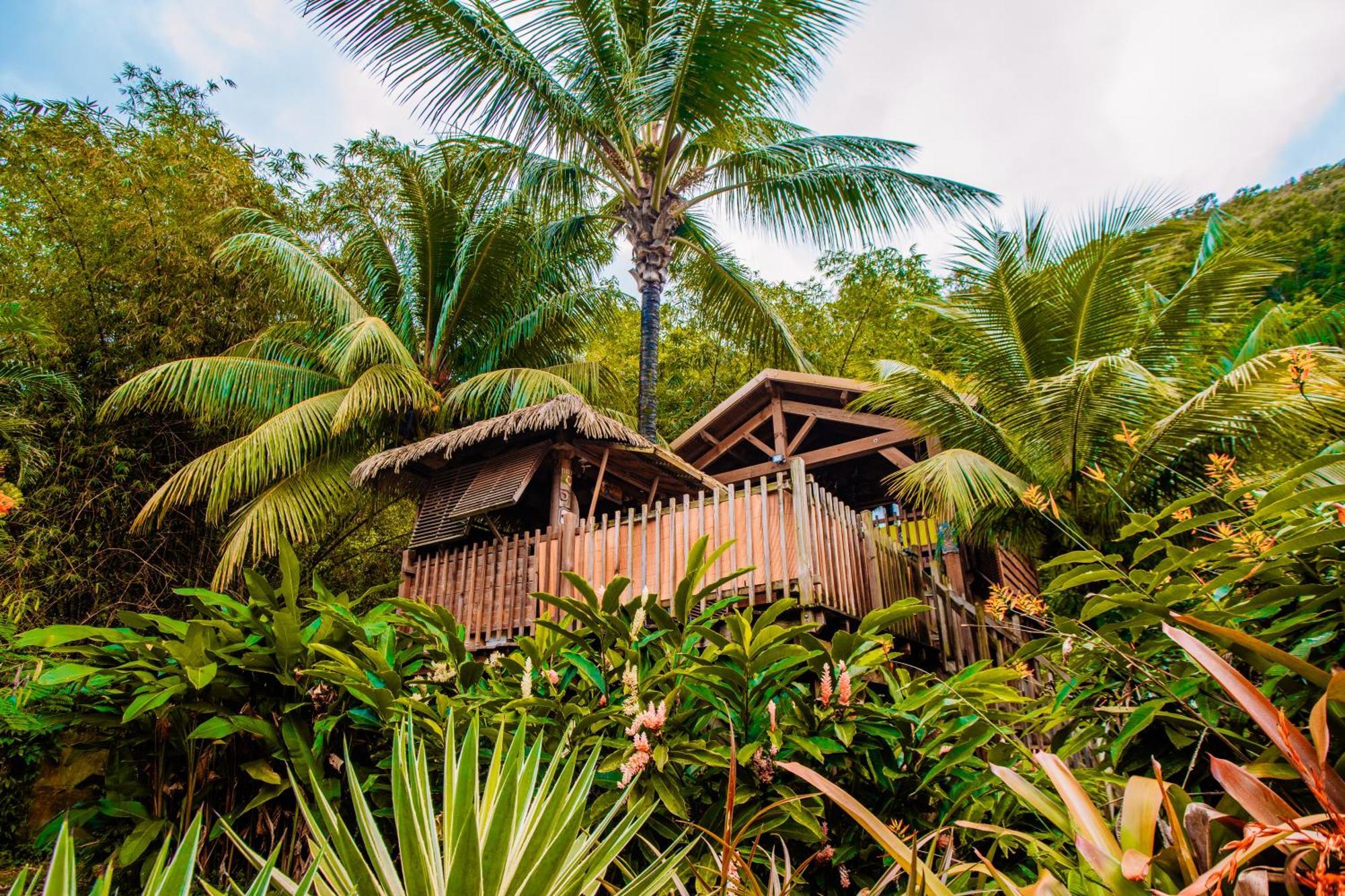 West Indies Cottage Pointe-Noire Zewnętrze zdjęcie