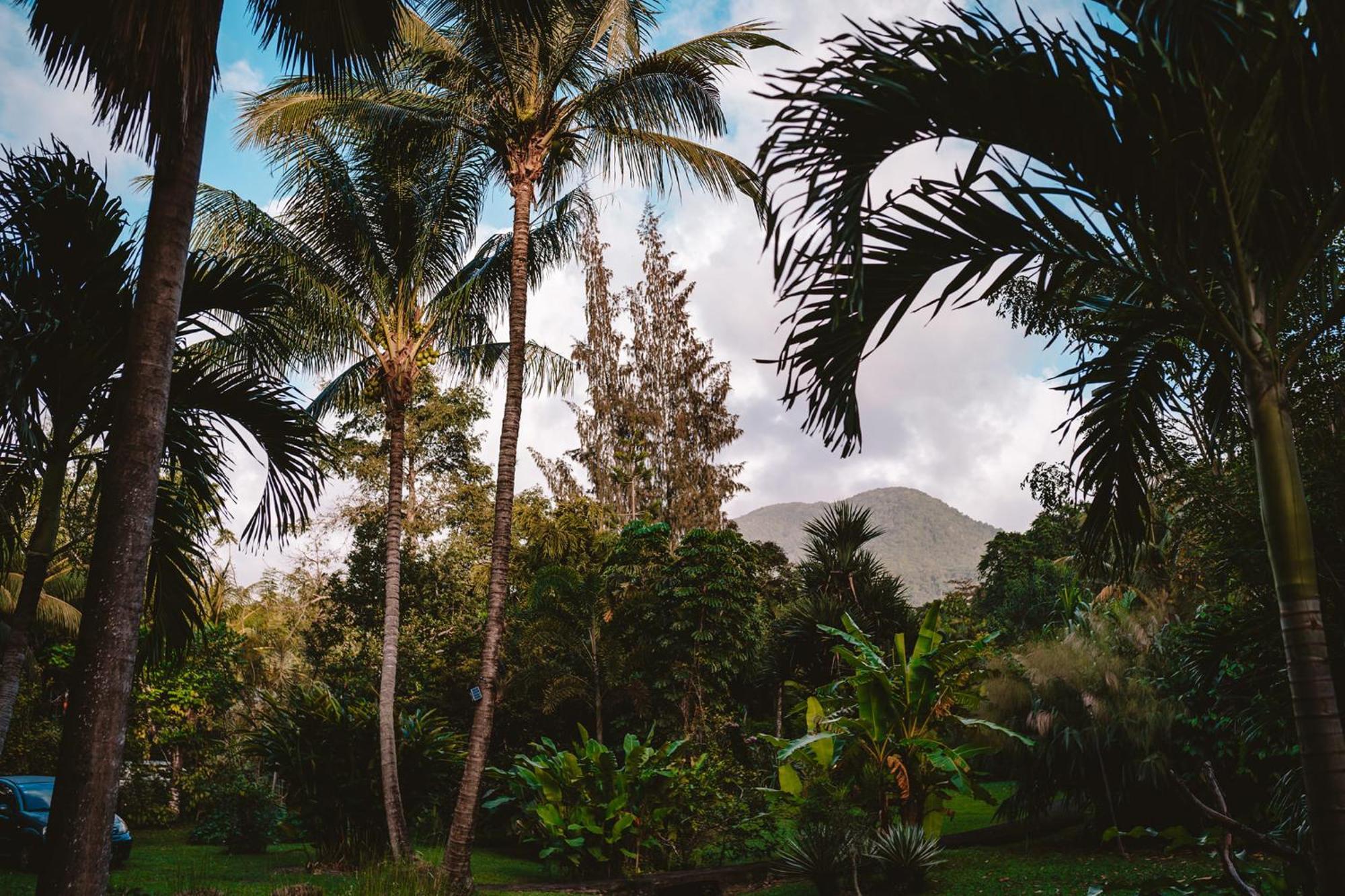 West Indies Cottage Pointe-Noire Zewnętrze zdjęcie